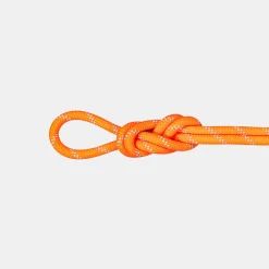 9.5 Alpine Dry Rope